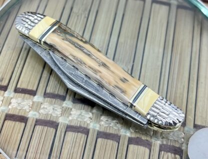 Case XX Wild Horse Custom Beautiful Exotic Fossil Damascus Peanut Knife #1 - Image 5