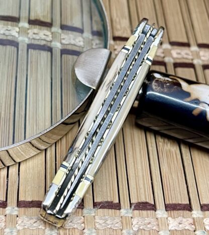 Case XX Wild Horse Custom Beautiful Exotic Fossil Damascus Peanut Knife #1 - Image 4