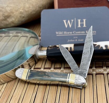 Case XX Wild Horse Custom Beautiful Exotic Fossil Damascus Peanut Knife #1 - Image 9