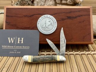 Case XX Wild Horse Custom Beautiful Exotic Fossil Damascus Peanut Knife #2