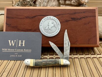 Case XX Wild Horse Custom Beautiful Exotic Fossil Damascus Peanut Knife #2