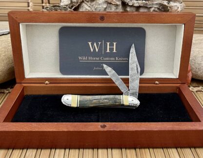 Case XX Wild Horse Custom Beautiful Exotic Fossil Damascus Peanut Knife #2 - Image 5