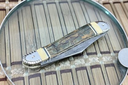 Case XX Wild Horse Custom Beautiful Exotic Fossil Damascus Peanut Knife #2 - Image 3