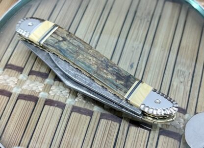 Case XX Wild Horse Custom Beautiful Exotic Fossil Damascus Peanut Knife #2 - Image 4