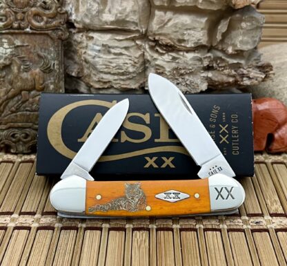 Case XX USA 2023 Persimmon Bone Golden TIGER 1/500 Diamond Canoe Pocket Knife