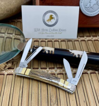 Case XX Wild Horse Custom Mammoth Fossil & Obsidian AAA++ Small Congress Pocket Knife #1 - Image 2