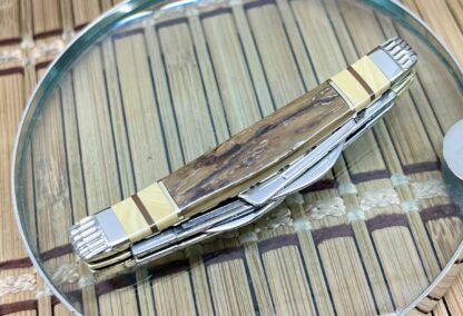 Case XX Wild Horse Custom Mammoth Fossil & Obsidian AAA++ Small Congress Pocket Knife #1 - Image 3