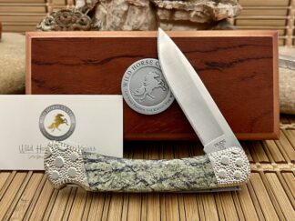 Buck 110 Wild Horse Custom Exotic Serpentine Stone Folding Hunter Knife #1