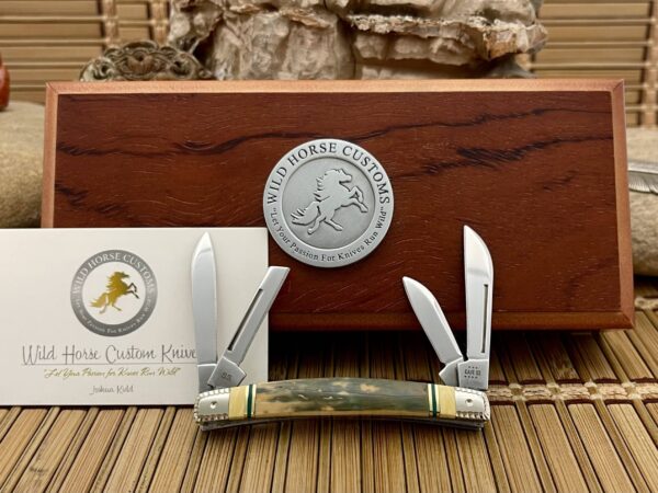Case XX Wild Horse Custom Mammoth & Jade Small Congress Pocket Knife #2
