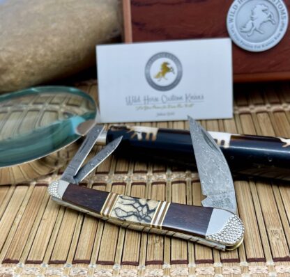 Case XX Wild Horse Custom Exotic Tiger Coral & Brown Lip Pearl Damascus Seahorse Whittler Knife #1 - Image 2