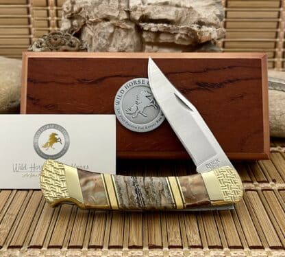 Buck 110 USA Wild Horse Custom Brown Lip & Mammoth Tooth Lockback Hunter Knife #03