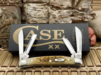 Case XX USA 2023 Peachseed Jig AMBER Bone 10723 Stainless Small Congress Knife
