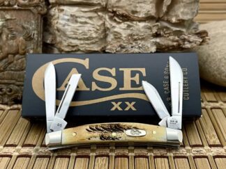 Case XX USA 2023 6.5 Bone Stag 65337 Stainless Small Congress Pocket Knife