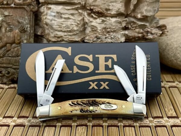 Case XX USA 2023 6.5 Bone Stag 65337 Stainless Small Congress Pocket Knife