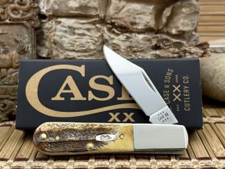 Case XX USA 6.5 Bone Stag 65339 Stainless Barlow Pocket Knife