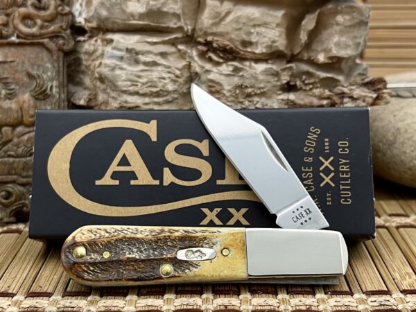 Case XX USA 6.5 Bone Stag 65339 Stainless Barlow Pocket Knife