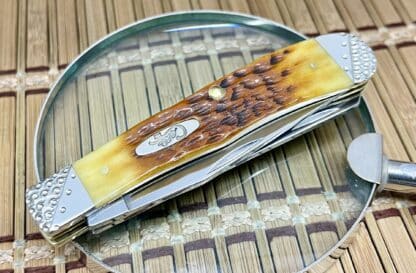 Case XX USA Stunning Custom Peachseed Amber Bone Engraved Trapper Knife - Image 3
