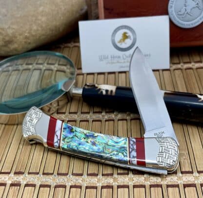 Buck 110 USA Wild Horse Custom Abalone & Bloody Jasper Lockback Hunter Knife #01 - Image 2