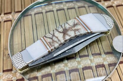 Case XX Wild Horse Custom Tiger Coral & Brown Lip Pearl Damascus Saddlehorn Knife #1 - Image 2