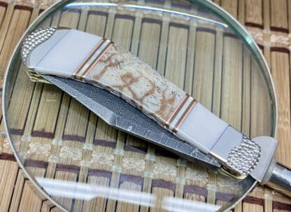 Case XX Wild Horse Custom Tiger Coral & Brown Lip Pearl Damascus Saddlehorn Knife #1 - Image 4