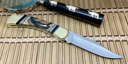 Buck 110 USA Michael Prater Cross-Cut Mammoth Fossil Lockback Hunter Knife - Image 3