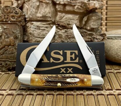 Case XX USA 2025 6.5 Burnt Bone Stag 65346 Stainless Muskrat Knife