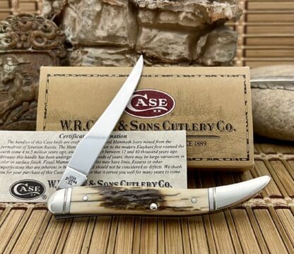 Case XX 2008 Mammoth Ivory Medium Texas Toothpick Knife - Image 2