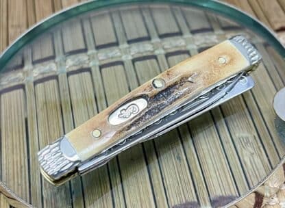 Case Doctors Knife – Custom Genuine Stag Baby Doc | Wild Horse Custom - Image 3