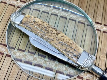 Case XX Wild Horse Custom Mammoth Bark Fossil Sowbelly Knife #3 - Image 5