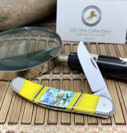 Case XX Wild Horse Custom Exotic Abalone & Yellow Spiny Sowbelly Knife #1/1 - Image 2