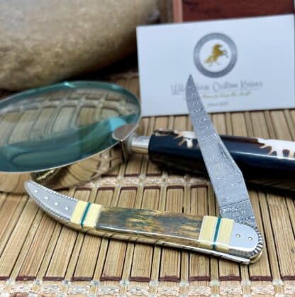 Case XX Wild Horse Custom Mammoth Fossil & Jade Damascus Medium Toothpick Knife #1 - Image 2