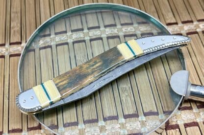Case XX Wild Horse Custom Mammoth Fossil & Jade Damascus Medium Toothpick Knife #1 - Image 3