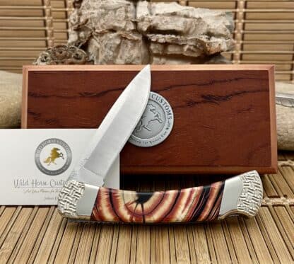Buck 110 USA Wild Horse Custom Red Cross-Cut Mammoth Fossil Hunter Knife #01 - Image 5