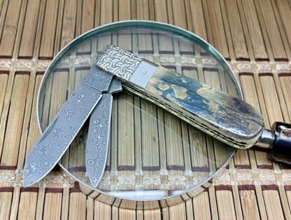 Case XX Wild Horse Custom Blue Mammoth Fossil Raindrop Damascus Barlow Knife #04 - Image 2