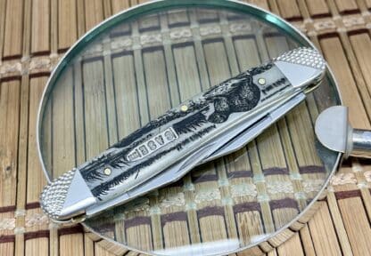 Case Limited Edition – USA Natural Bone Muskrat Knife with Engraved Bolsters & Diamond XX Shield - Image 2