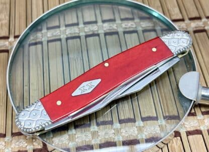Case XX Muskrat – USA Custom Red Bone Knife with Diamond XX Shield & Engraved Bolsters - Image 2