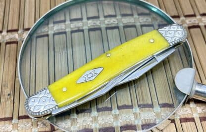 Case Muskrat Knife – USA Custom Yellow Bone with Diamond XX Shield & Engraved Bolsters - Image 2