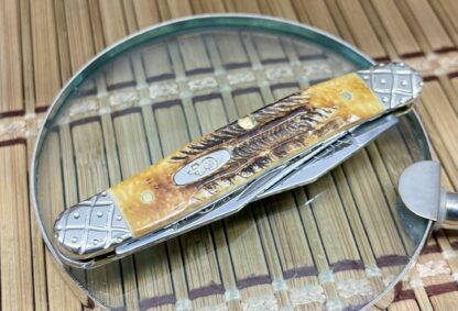 Case Muskrat – Custom Engraved Knife in 6.5 Bone Stag (#008 of 100) - Image 3