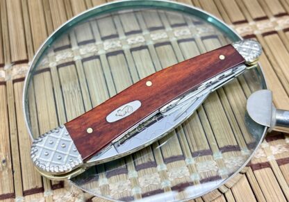 Engraved Case Seahorse Whittler – Chestnut Smooth Bone Knife (#01 of 25) - Image 3