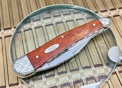 Case Seahorse Whittler – Custom Chestnut Bone Engraved Knife (#02 of 25) - Image 3