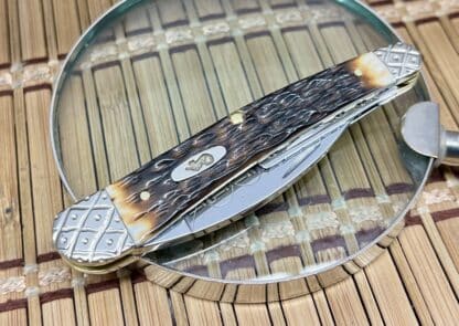 Case Whittler Knife – Custom Seahorse Whittler in Amber Bone with Engraved Bolsters (#001 of 100) - Image 3