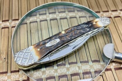 Seahorse Whittler – Case XX Custom Amber Bone Knife with Engraved Bolsters (#002 of 100) - Image 3