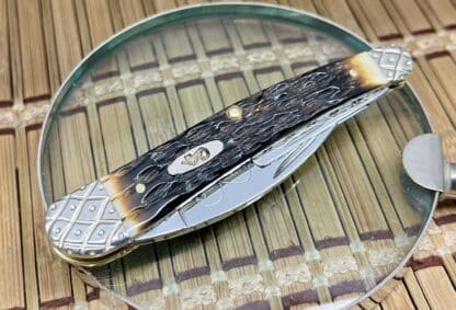 Engraved Whittler – Case XX Custom Seahorse Knife in Amber Bone #004 - Image 2