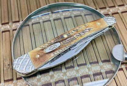 Whittler Knife – Case XX Custom Seahorse in 6.5 Bone Stag with Scrolled Blades (#03 of 50) - Image 3