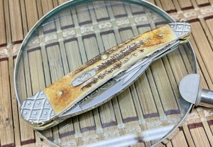 Case XX Whittler – Custom Seahorse Knife in 6.5 Bone Stag with Scrolled Blades (#04 of 50) - Image 3