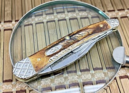 Case Seahorse Whittler – Custom 6.5 Bone Stag Knife with Scrolled Blades (#05 of 50) - Image 3
