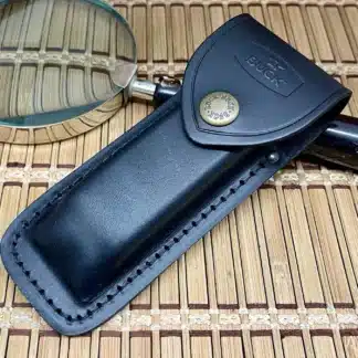 Buck 110 Sheath