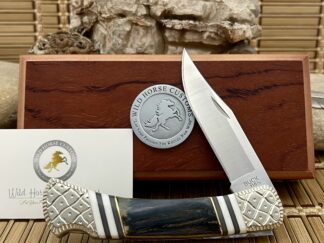 Buck 110 Blue Mammoth Ivory Knife | Wild Horse Custom #1 of 1