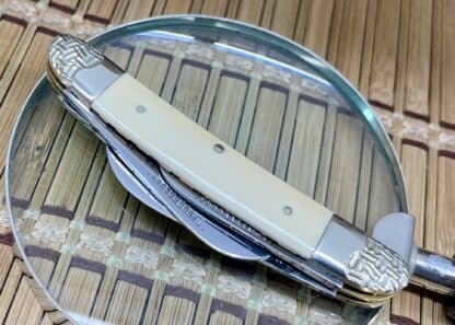 Majestic Mammoth Fossil Engraved Congress Knife: one of a kind - Image 3
