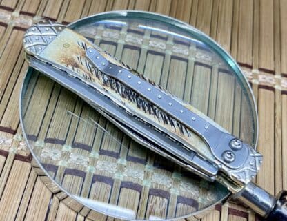 Exquisite Engraved Bone Stag Trapper Pocket Knife: #01/50 Rare Gem - Image 3